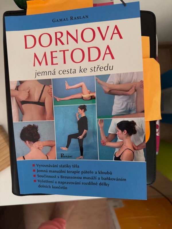 Recenzia